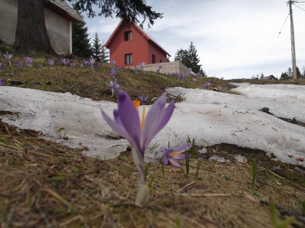Sepic Accommodation Zabljak  Exterior photo